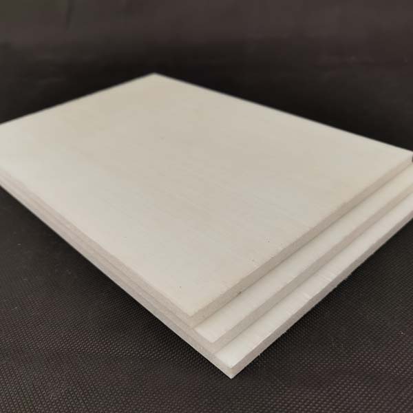 CFRT輕量化複合(he)闆