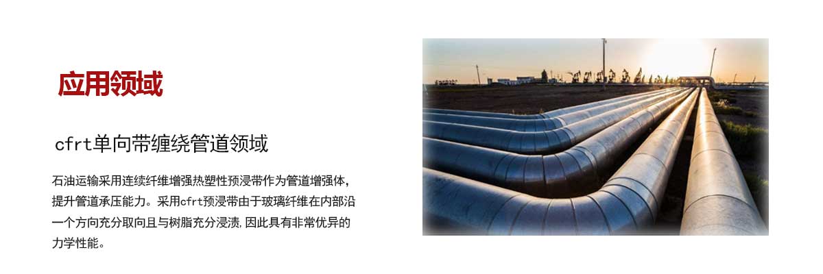 石油管(guǎn)道領域(yu)